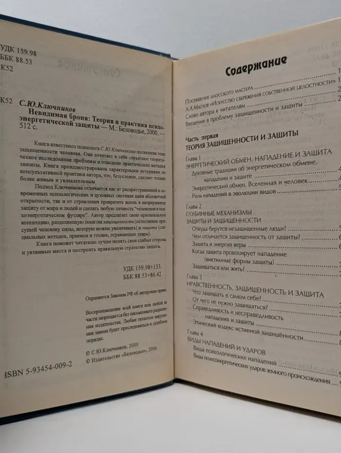 Невидимая броня. Теория и практика психоэнергетической защиты