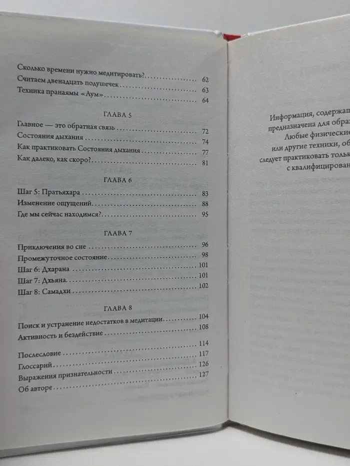 Hacking the Universe. Процесс йогической медитации