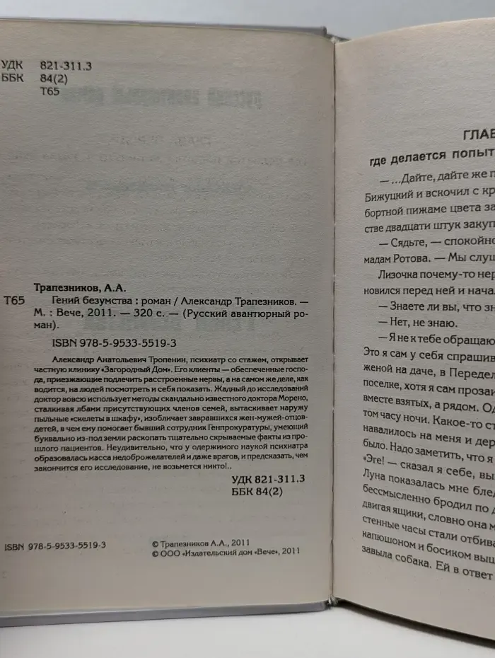Русский авантюрный роман. Гений безумства