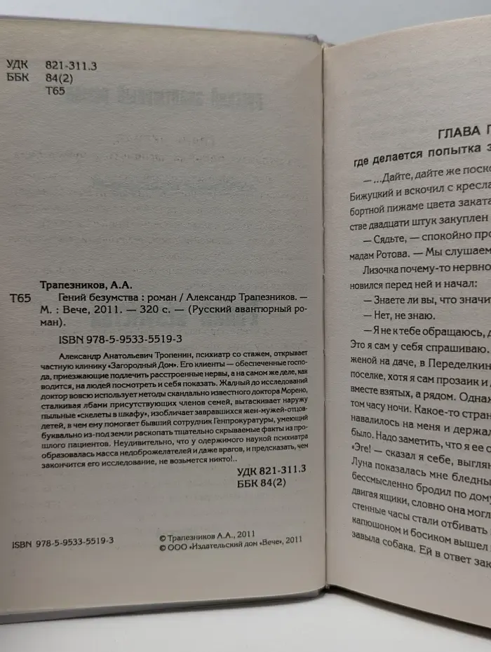 Русский авантюрный роман. Гений безумства