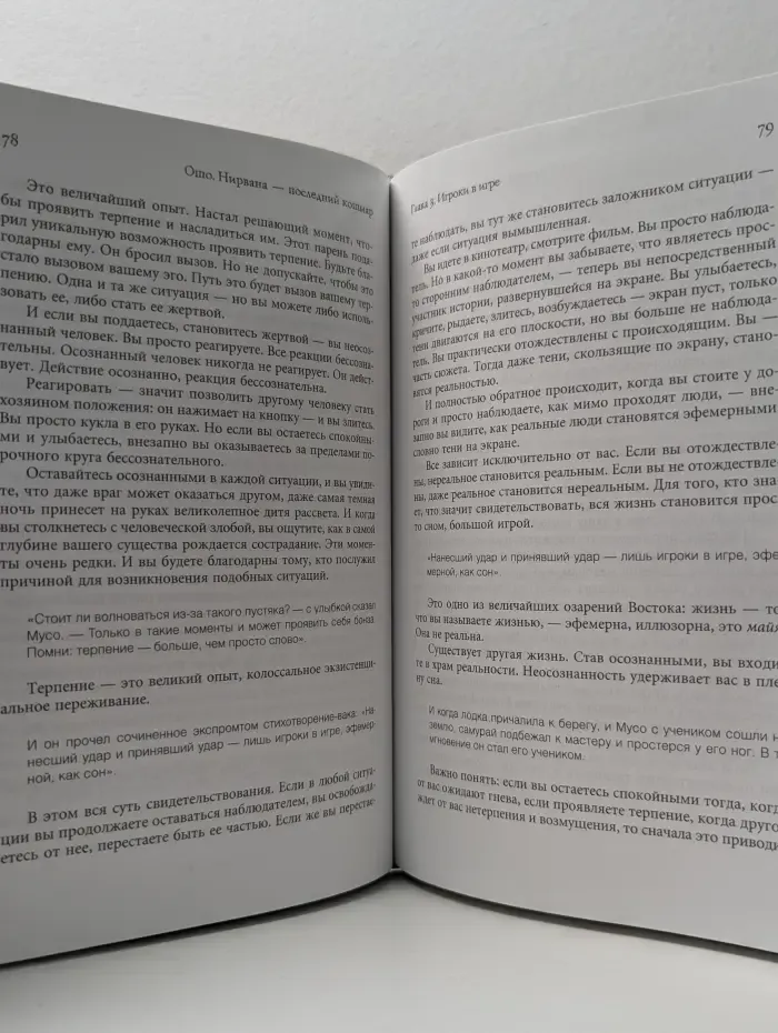 Путь мистика. Нирвана – последний кошмар