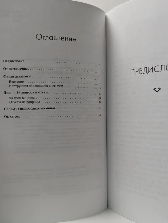 Путь Духа. Дзен — вопросы и ответы