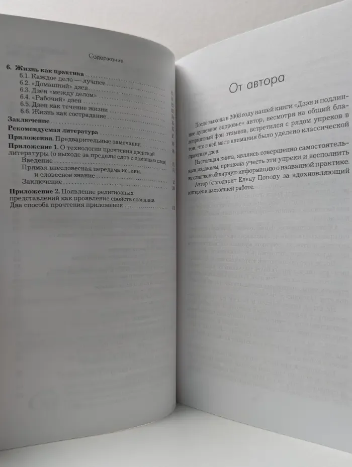 Путь Духа. Введение в практику дзен. Дзадзен и шикантаза