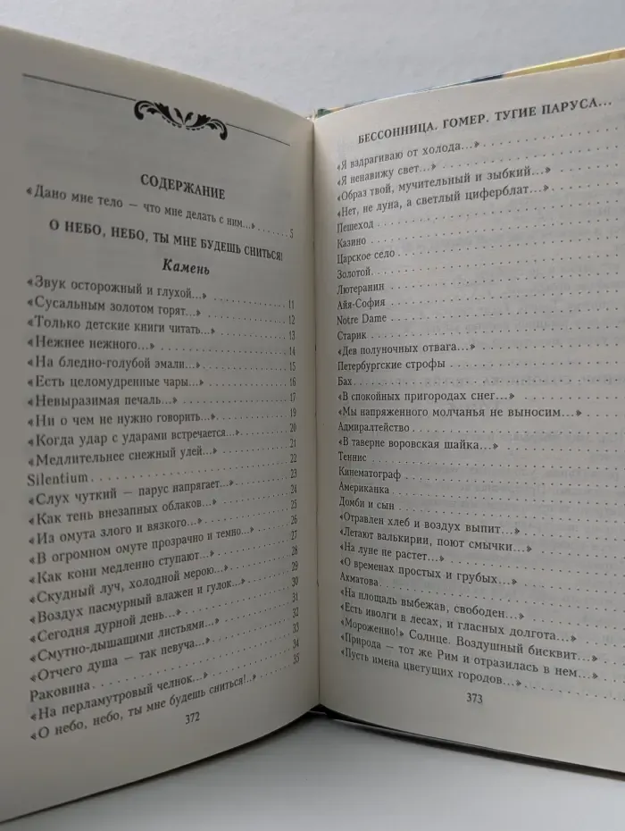 Заблудился я в небе