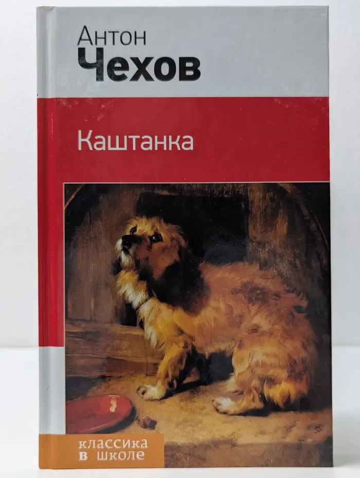 Классика в школе. Каштанка