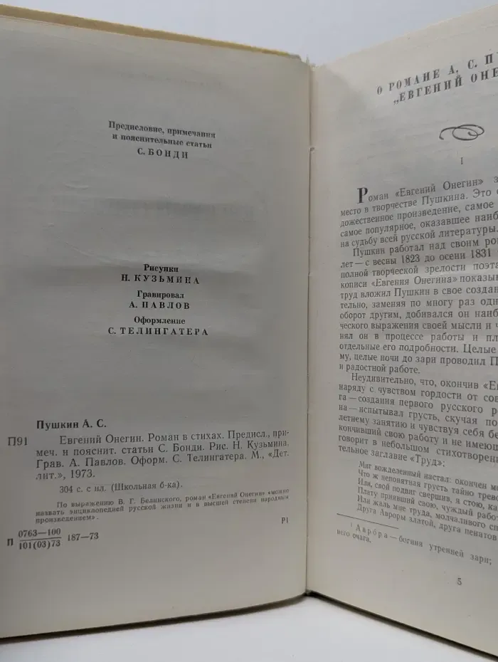 Школьная библиотека. Евгений Онегин