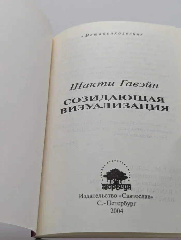 Метапсихология. Созидающая визуализация. Практики визуализации