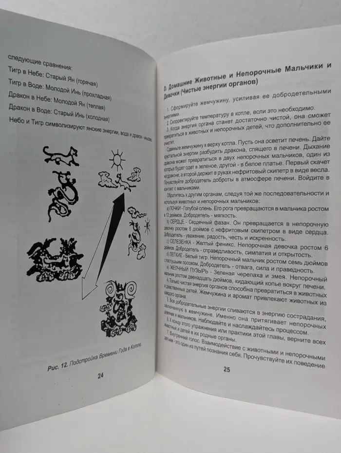 Высшие практики Канья и Ли. Просветление, Выращивание Бессмертного Зародыша