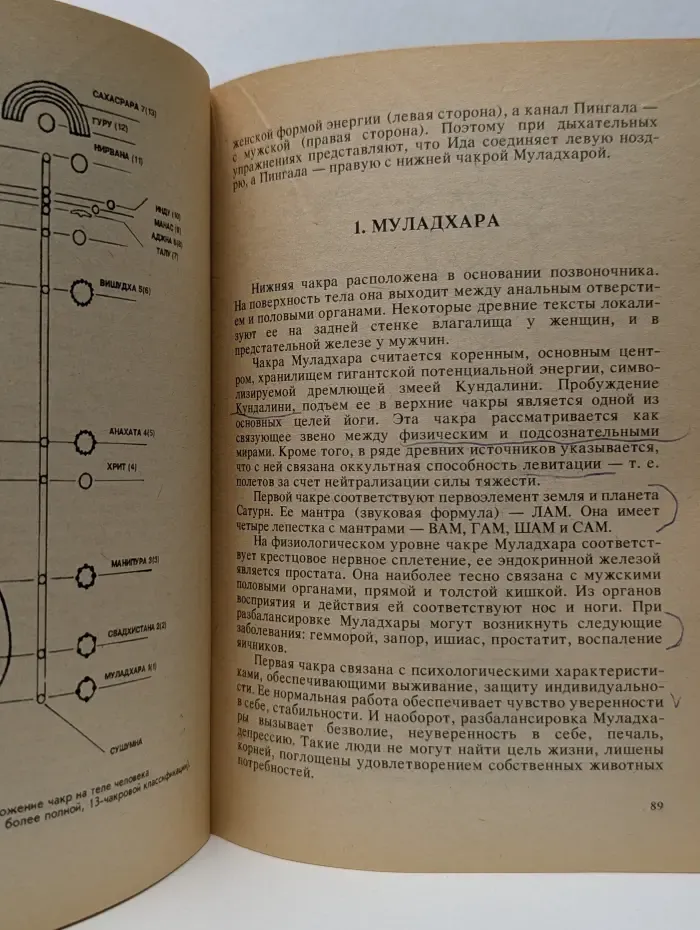 Изменённые состояния сознания. Краткий путеводитель по внутренним мирам