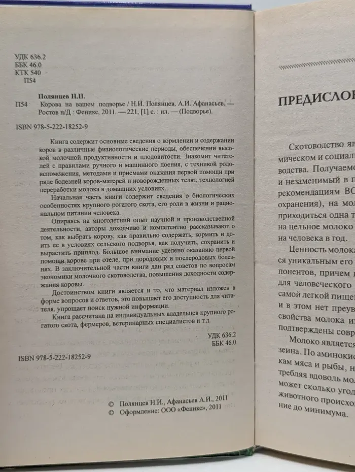 Подворье. Корова на вашем подворье