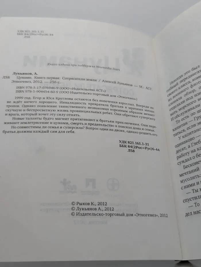 Цунами. Книга 1. Сотрясатели земли
