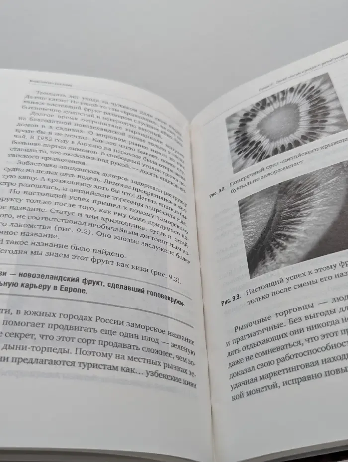 Бесплатная реклама: результат без бюджета