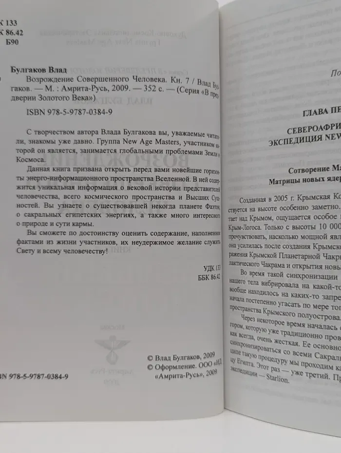 В преддверии Золотого века. Возрождение Совершенного Человека. Книга 7