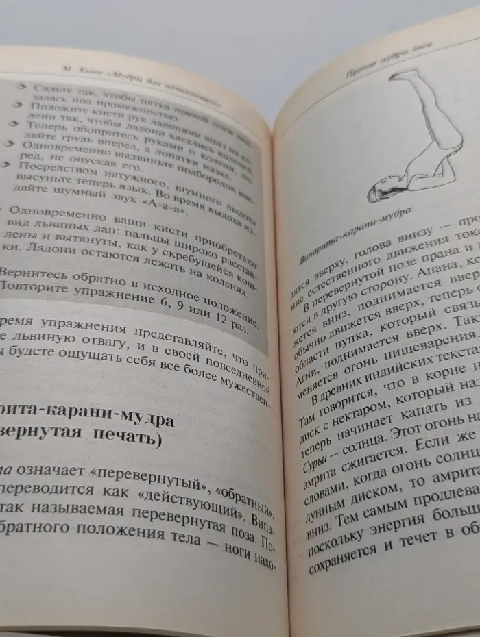Мудры для начинающих