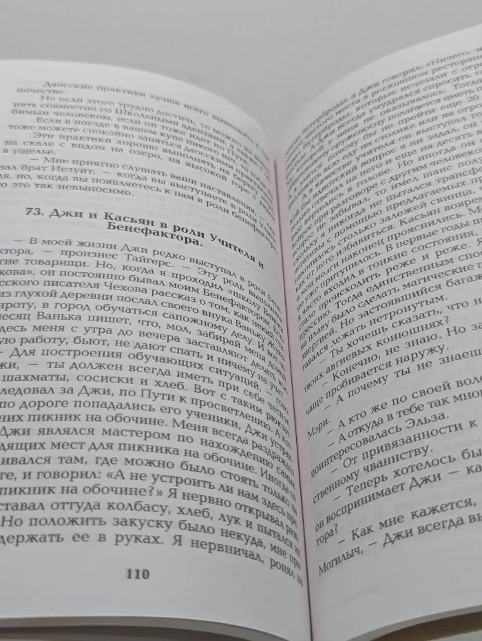 Алхимический лабиринт. Книга 2. Даосские практики