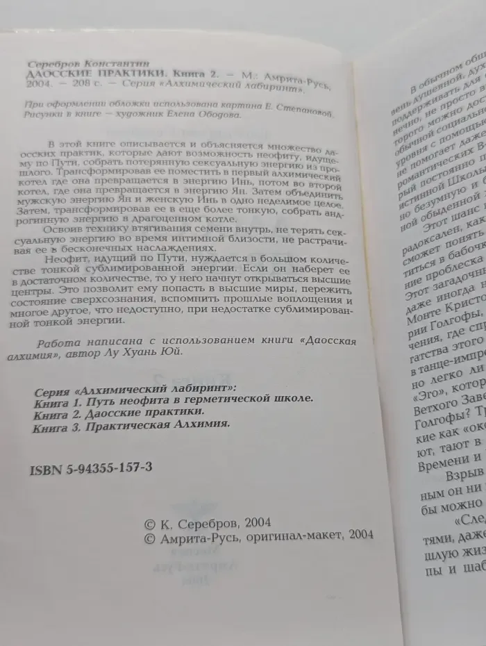 Алхимический лабиринт. Книга 2. Даосские практики