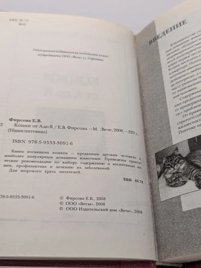 Наши питомцы. Кошки от А до Я
