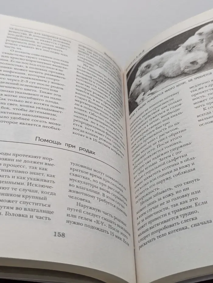 Наши питомцы. Кошки от А до Я