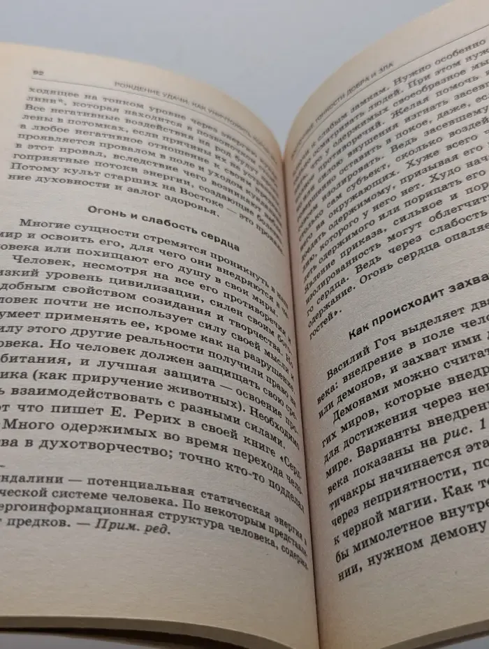 Книга, приносящая удачу. Рождение удачи. Как уничтожить корни зла