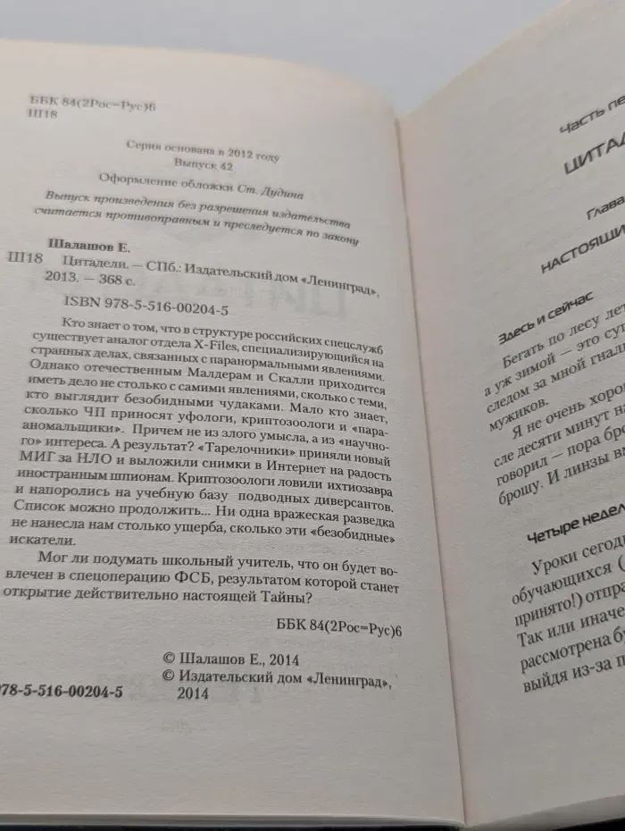 Современный фантастический боевик. Цитадели