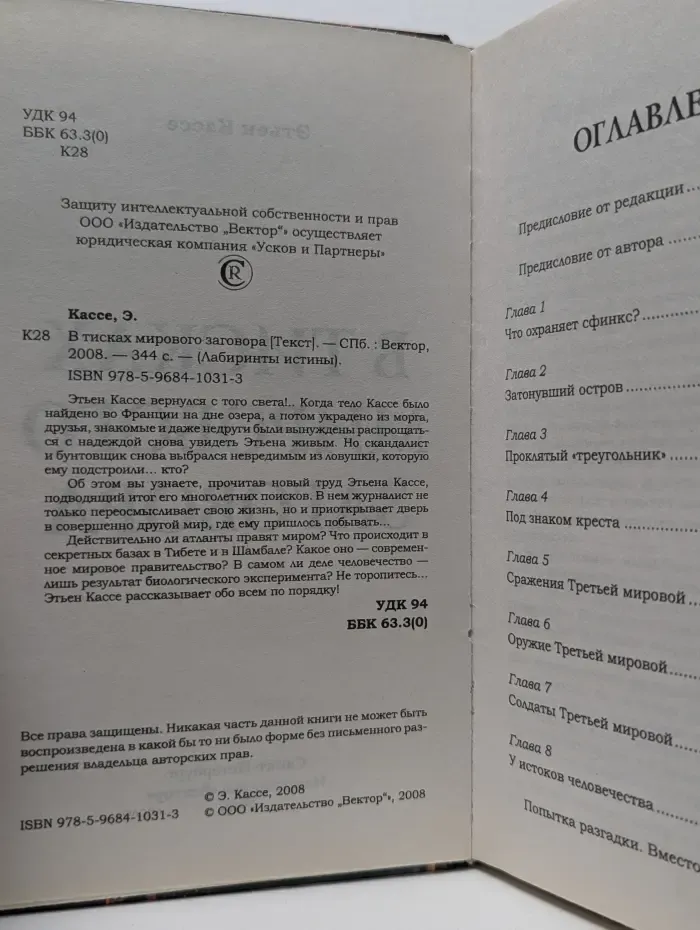 Лабиринты истины. В тисках мирового заговора