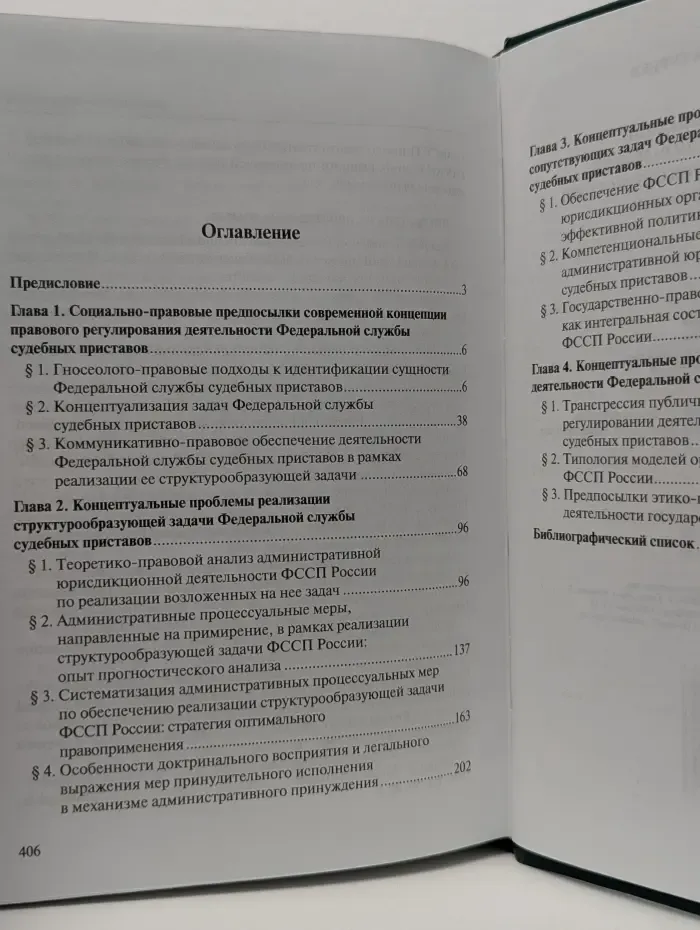 Проблемы идентификации концептуальной модели развития Федеральной службы судебных приставов в Российской Федерации