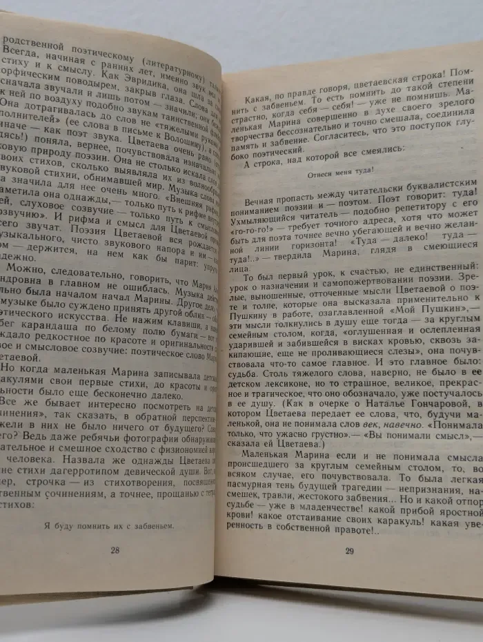 Куст рябины
