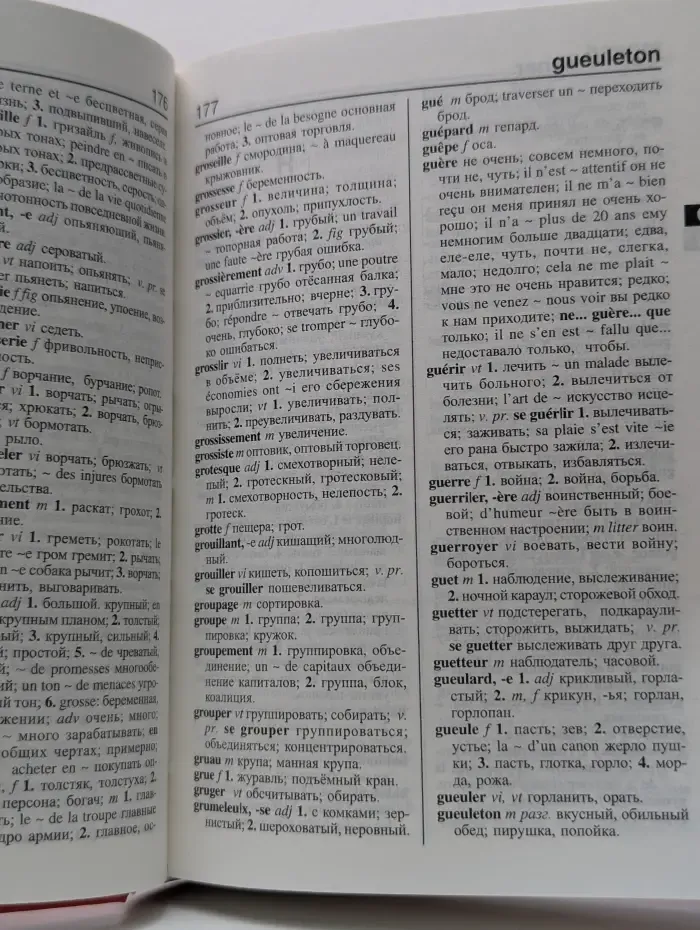 Французско-русский, русско-французский словарь