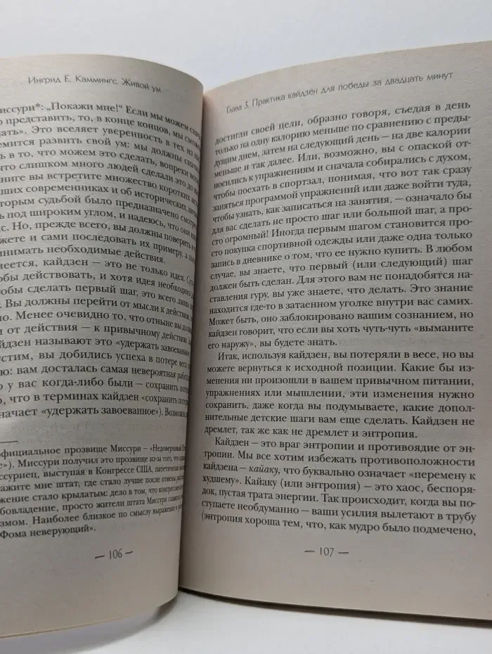 Живой ум. Преодоление ментальных, эмоциональных и профессиональных ограничений