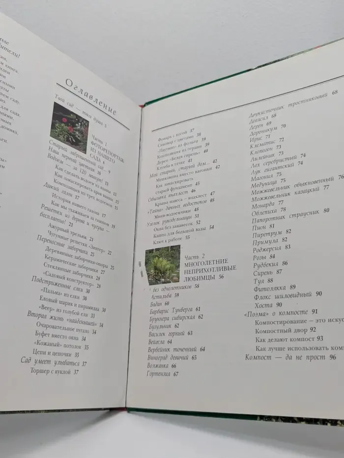 Сад с выдумкой и любовью