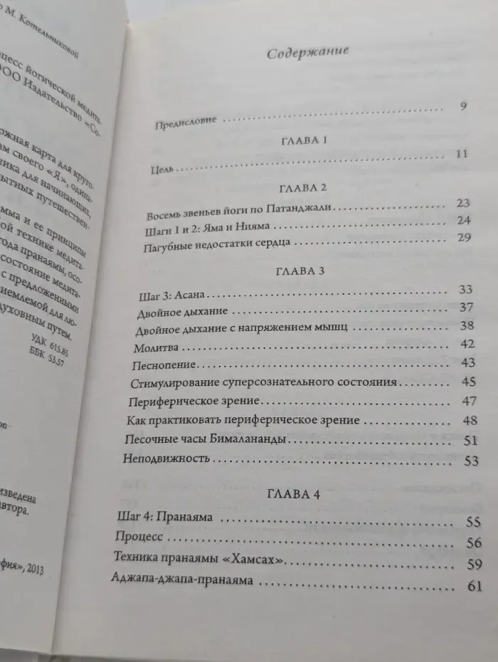 Hacking the Universe. Процесс йогической медитации