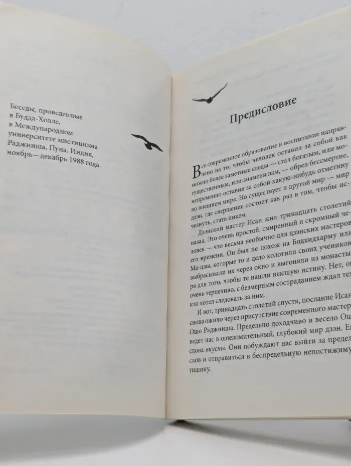 В синем небе следов не остается. Беседы о сущности дзэн