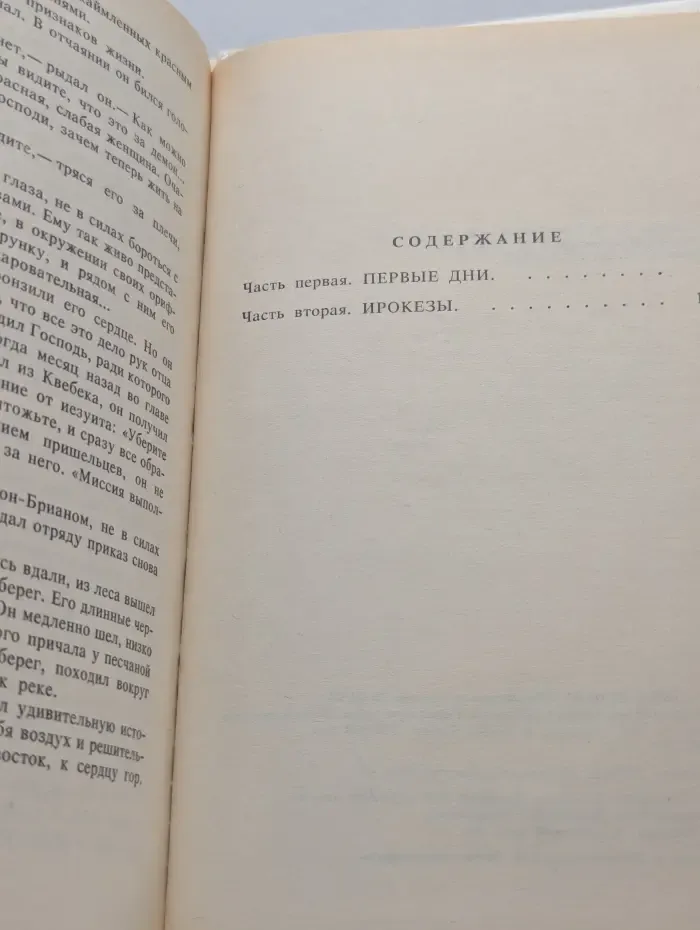 Анжелика в Новом свете. Книга 1