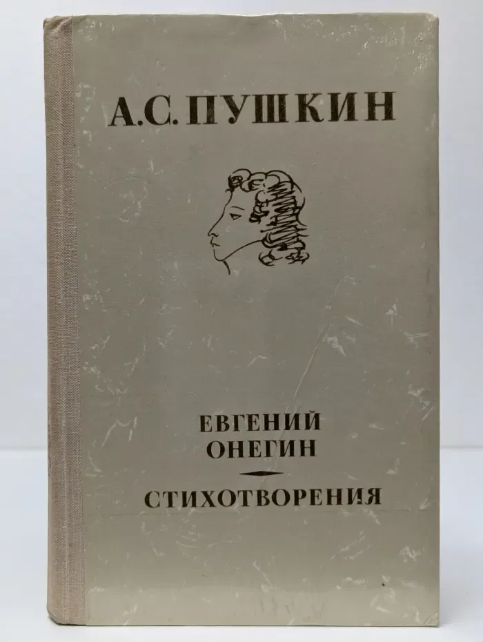 Школьная библиотека. Евгений Онегин. Стихотворения