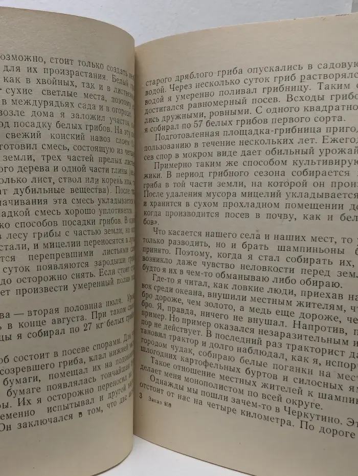 По грибы. Заметки фенолога