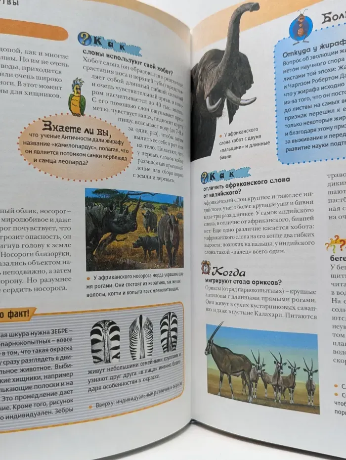 Энциклопедия современного школьника