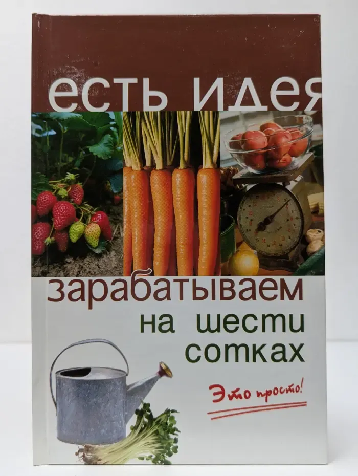 Есть идея. Зарабатываем на шести сотках. Это просто!
