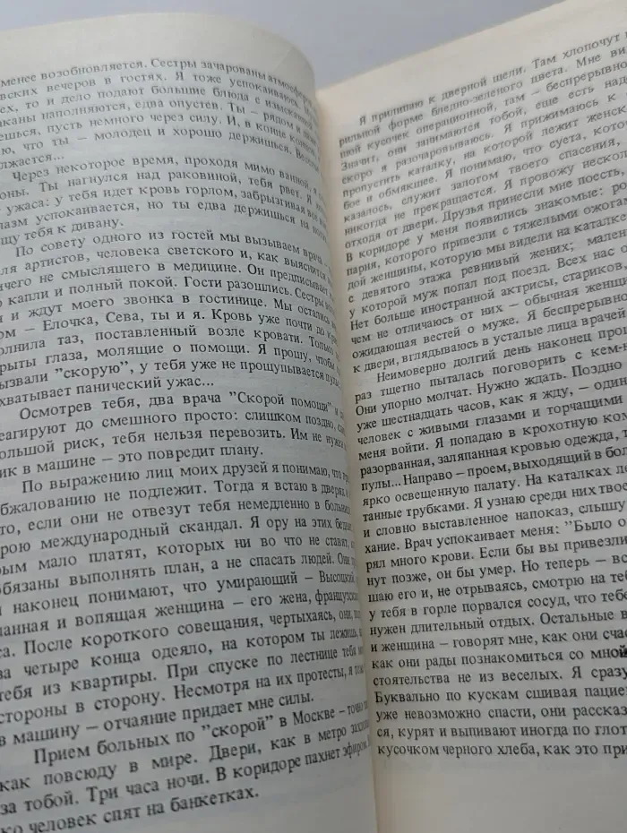 Владимир, или Прерванный полет