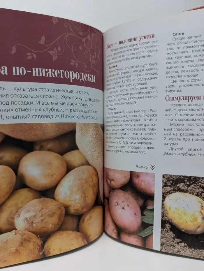 Современная усадьба. Ваш урожайный участок
