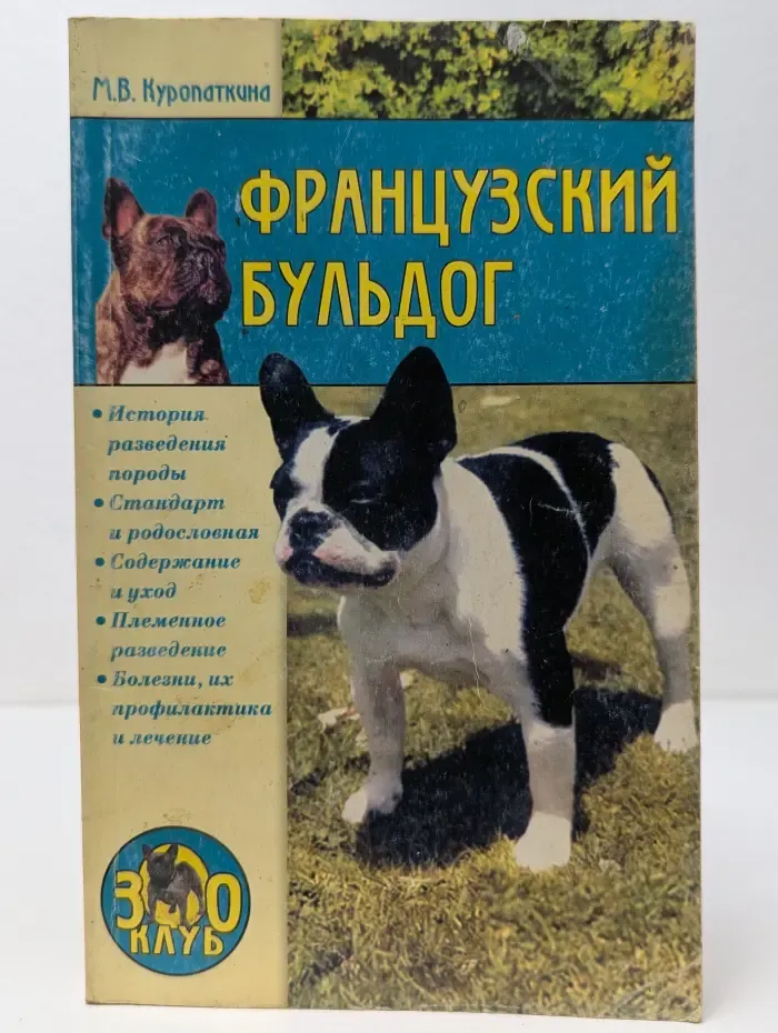 Зооклуб. Французский бульдог