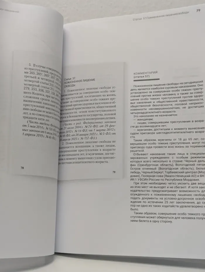 Книга в книге. Уголовный кодекс Российской Федерации. Подробный иллюстрированный комментарий для подростков