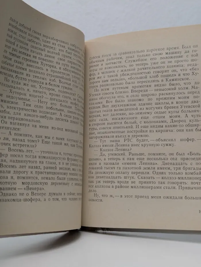 Голос сквозь метель