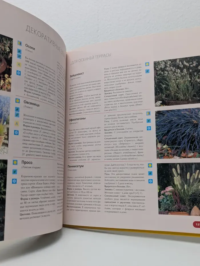 Терраса вашей мечты