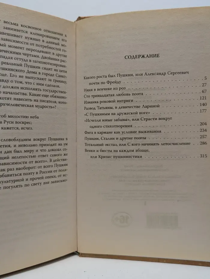 Жизнь Пушкина. Пушкин. Изнанка роковой интриги
