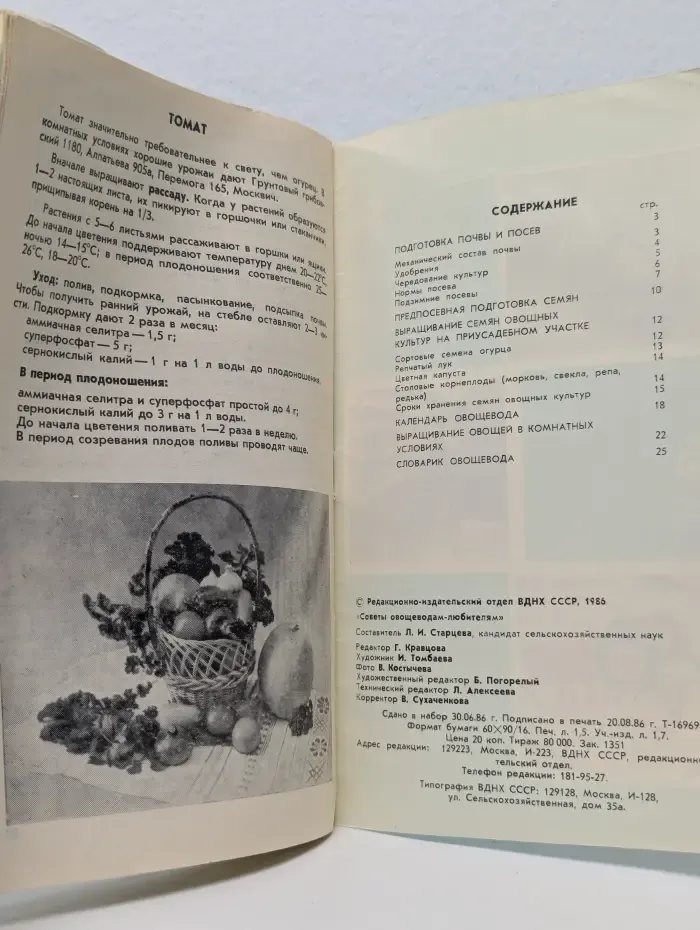 Советы овощеводам-любителям