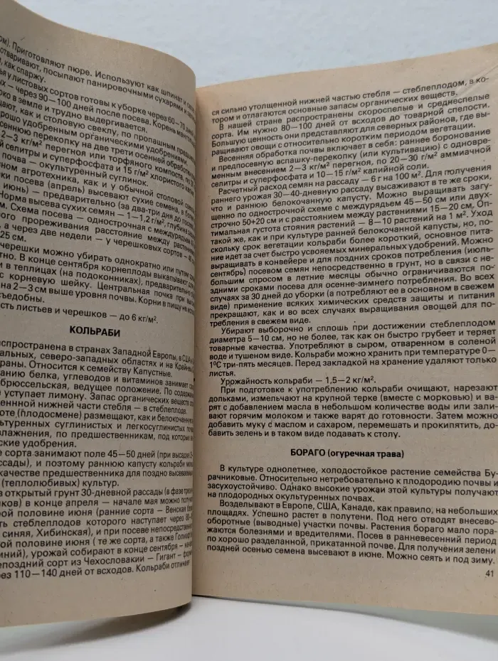Витамины с грядки