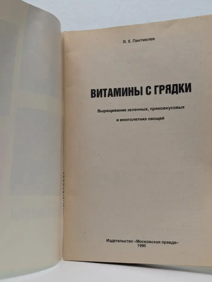Витамины с грядки