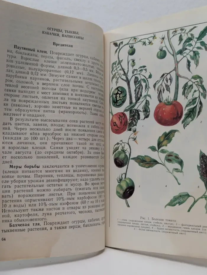 Защита растений на приусадебных участках
