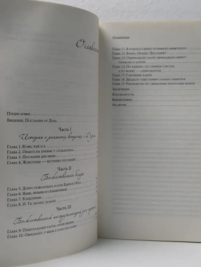 Знаки свыше. Тайны посланий, символов и предсказаний