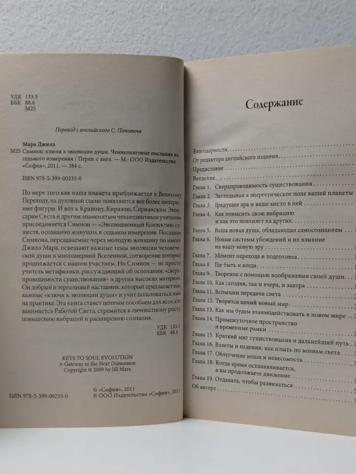 Симион. Ключи к эволюции души. Ченнелинговые послания из седьмого измерения